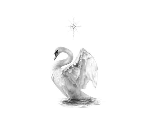 Swan Drawing, Elsa Steel, Word Tattoo Ideas, Swan Tattoo, Royal Elite Series, Word Tattoo, Elite Series, Aesthetic Tattoo, Elegant Tattoos