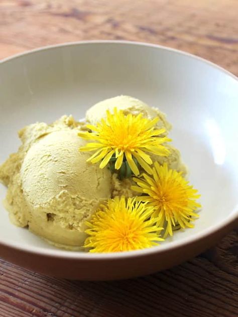 Simple Homemade Dandelion Ice Cream Homemade Ice Cream Recipe, Roasted Dandelion Root, Dessert From Scratch, Spring Recipe, Making Homemade Ice Cream, Homemade Ice Cream Recipes, Unique Desserts, Dandelion Recipes, Ice Cream Recipe