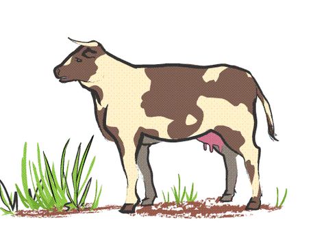 Cow Animation, Animated Cow, Hi Images, Forest Cartoon, Birthday Gifs, From The Pond, Share Gif, Birthday Gif, All Holidays