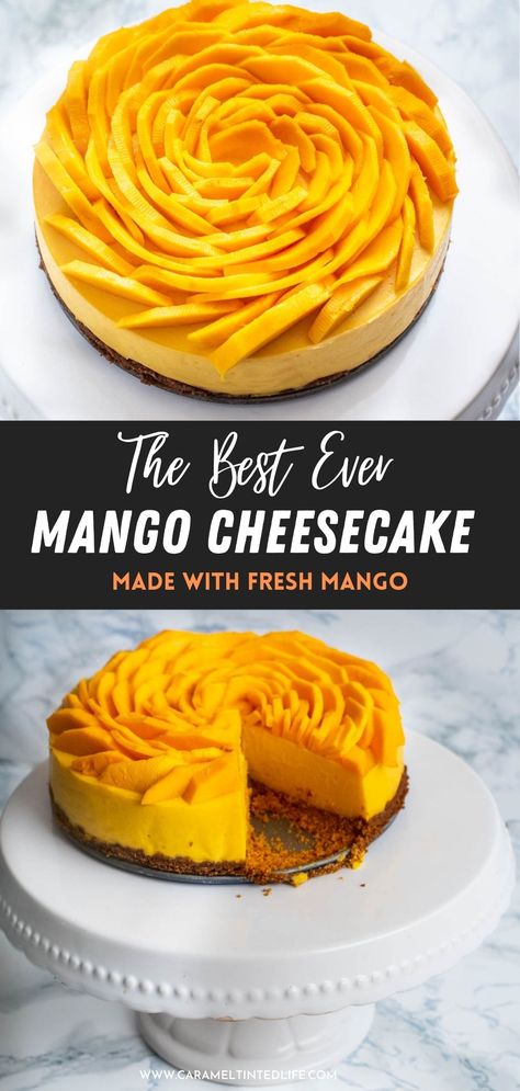 Easy recipe for the smoothest, silkiest mango cheesecake made with fresh mango puree and no added cream! Garnished with fresh mangoes, makes for a delicious summer treat! #mango #cheesecake #instantpot #summer #instapot #dessert Mango Pie, Baked Recipe, Mango Dessert Recipes, Plain Cookies, Recipe List, Mango Cheesecake, Mango Dessert, Caramel Apple Cheesecake, Multi Cooker