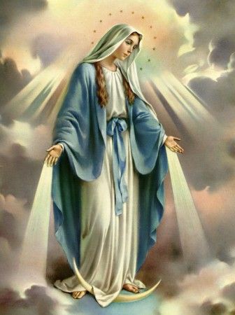 blessed virgin mary december | ... the Immaculate Conception of the Blessed Virgin Mary | one tiny violet Immaculate Mary, Assumption Of Mary, Blessed Mary, Maria Magdalena, Mama Mary, Religious Pictures, Queen Of Heaven, Holy Rosary, Immaculate Conception