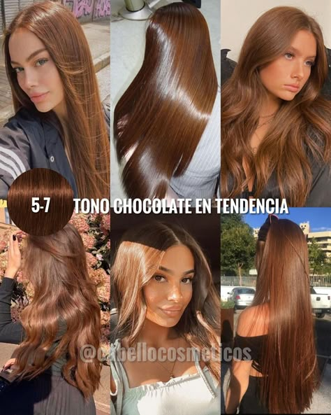 ¡TONOS MÁS VENDIDOS! 😍 ¿Cuál tono es tu favorito? 😍❤️ te leemos en los comentarios ⬇️✨ Guarda este post de inspiración 🤩 ⭐️ Igora Royal es… | Instagram 5.68 Hair Color, Hair Matches Skin Tone, Hair Colour For Asian Skin, Best Hair Color For Light Olive Skin, Light Brown Chestnut Hair, Blonde Chocolate Hair, Cinnamon Brown Hair Colors, Chocolate Brown Hair On Tan Skin, Mix Hair Color Ideas