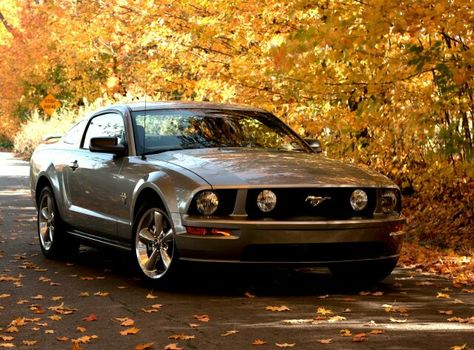 2009 Mustang GT 05 Mustang, 2005 Mustang Gt, Mustang S197, 2009 Mustang, 2005 Mustang, Mustang 2005, Car Ideas, Car Projects, Car Girls