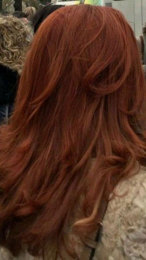 Auburn Hair Medium Skin Tone, Natural Red Hair Aesthetic, Orangey Red Hair, Copper Ginger Hair Color, Cool Toned Copper Hair, Deep Ginger Hair, Ginger Hair Dye, Grad Hair, Red Hair Inspo