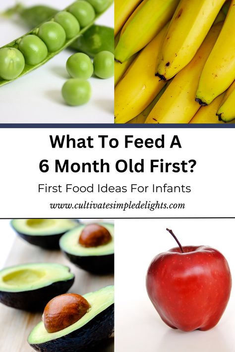 Figuring out what to feed your 6 month old can be overwhelming? With this article we go over everything you need to know about preparing your child's first foods with easy baby food recipe ideas and cooking tips for feeding your 6 month old their first foods. What Should I Feed My 6 Month Old, What Can A 6 Month Old Eat, What Foods Can I Give My 6 Month Old, Starting Foods At 6 Months, Feeding 6 Month Old Baby, Breakfast Ideas For 6 Month Old Baby, 6 Month Old Food Ideas Starting Solids, What To Feed My 6 Month Old, First Foods For 6 Month Old