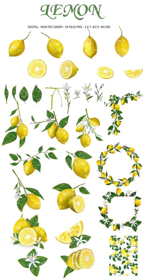 Lemon Flower Drawing, Lemon Flower Tattoo, Citrus Tattoo, Lemon Png, Lemon Tattoo, Lemon Drawing, Lemon Clipart, Lemon Wedding, Lemon Watercolor