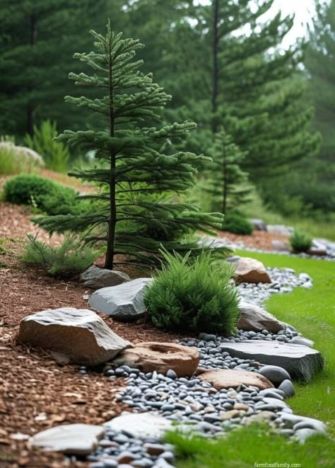 48+ Best Landscaping Ideas With Mulch And Rocks 82 Best Landscaping Ideas, Front Yard Design Ideas, Garden Home Ideas, Yard Design Ideas, Evergreen Landscape, Fountain Pond, Landscaping On A Hill, Yard Landscape Ideas, Garden Front Yard