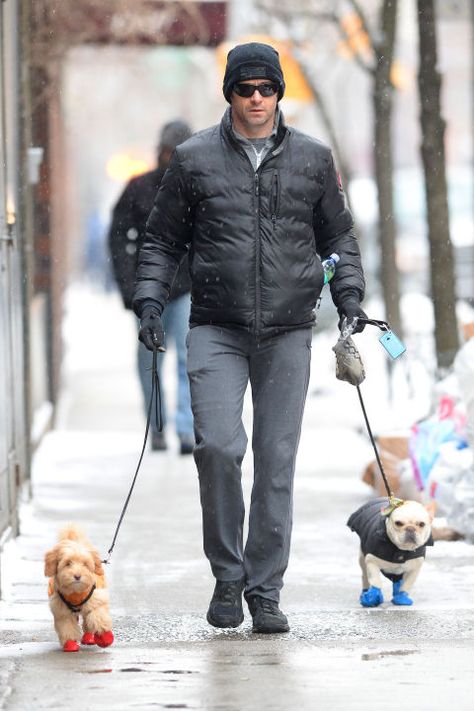 Hugh Jackman . Dogs in shoes!! Dog Walking Outfit, Dog Probiotics, Celebrity Dogs, Frenchie Lovers, 강아지 그림, Like Someone, Tiny Dogs, Hugh Jackman, Dog Photos