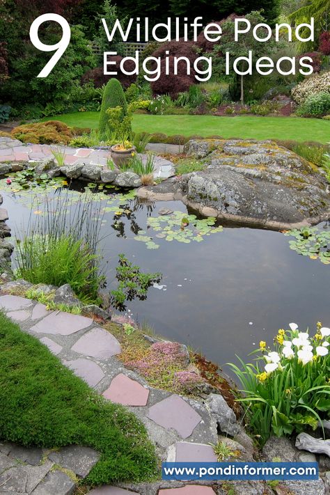 Wildlife Pond Edging Ideas, Wildlife Ponds, Pond Edging, Wildlife Pond Ideas, Pond Edge Ideas, Plants Around Pond Edge, Pond Edging Ideas, Backyard Pond Landscaping, Pond Plants Ideas