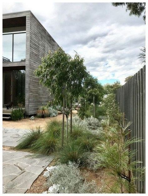 Australian Garden Design, Moderne Have, Garden Landscaping Ideas, Australian Native Garden, Landscaping Inspiration, Australian Garden, Modern Landscape Design, Coastal Gardens, Modern Garden Design