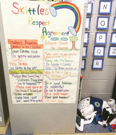 Classroom service dog respect agreement Teaching Classroom Management, Chart Ideas, Anchor Chart, Service Dog, Teaching Classroom, Service Dogs, Anchor Charts, Social Emotional, Classroom Management