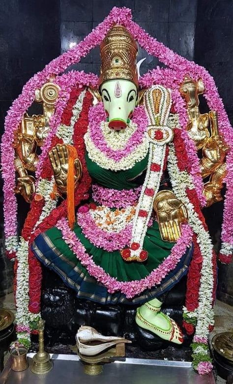 Varahi Varahi Amman, Navratri Devi Images, Lord Venkateshwara, God Venkateswara Images Hd Wallpaper, Lord Venkateswara, Deer Wallpaper, Red And Black Background, Devi Images Hd, Bhagvan Wallpapers