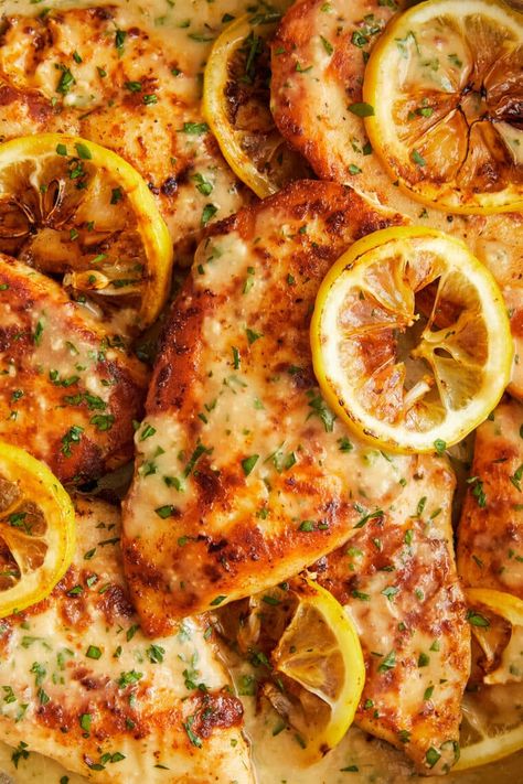 Lemon Chicken Parmesan Recipe, Parmesan Lemon Chicken, Damn Delicious Recipes Chicken, Lemon Parm Chicken, Lemon Garlic Parmesan Chicken, Chicken Recipes Lemon, Lemon Dinner, Lemon Chicken Breast Recipes, Lemon Parmesan Chicken