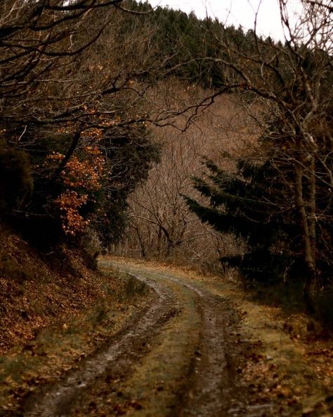 by Estelle Heart Leaf Peeping, American Gothic, Dark Cottagecore, Gothic Aesthetic, Autumn Scenery, Cottagecore Aesthetic, Autumn Beauty, Autumn Landscape, Autumn Photography