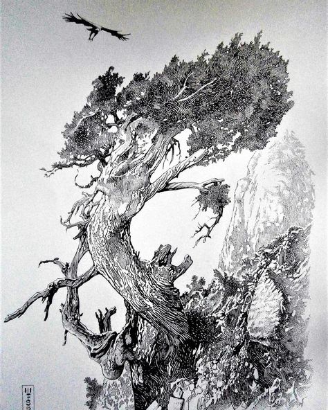 Murray Smoker on Instagram: “"Vulture's Perch" dip pen and ink illustration #penandinkart #penandink #pen #pendrawing #penillustration #drawing #draw #crowquill…” Nature Pen Art Ink Drawings, Tree Pen Drawing, Dip Pen Art, Dip Pen Drawing, Basics Drawing, Pen And Ink Illustrations, Diptych Art, Illustrator Artwork, Pen And Ink Drawings