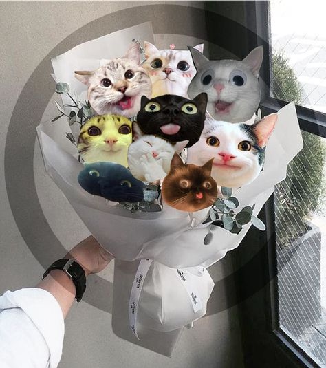 Funny cat bouquet by Mekachi ;3 Funny Bouquet, Cat Bouquet, Getting Married Funny, Flowers Funny, Unique Wedding Bouquet, Diy Bouquet, Diy Crafts For Gifts, Bunch Of Flowers, Silly Cats