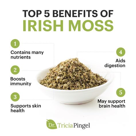 Pumpkin cheesecake. A delicious coconut-based beverage featuring nutmeg, vanilla, and cinnamon. Chocolate pudding. What do all of these delicious indulgences have in common? Believe it or not—Irish moss, and it's one of the healthiest (and virtually taste-free!) superfoods you're missing in your diet! Click the link to discover how Irish moss benefit everything from your immune system to your skin to your brain health. Irish Moss Benefits, Irish Moss Drink Recipes, Irish Seamoss Benefits, Benefit Of Sea Moss, Sea Moss Supplement, Cinnamon Benefits, Pimples Remedies, Growing Healthy Hair, Irish Moss