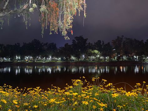 Baguio Aesthetic Night, Burnham Park Baguio Aesthetic, Burnham Park Baguio, Burnham Park, Baguio City Philippines, Lake At Night, Dark Nature, Baguio City, Dark Nature Aesthetic