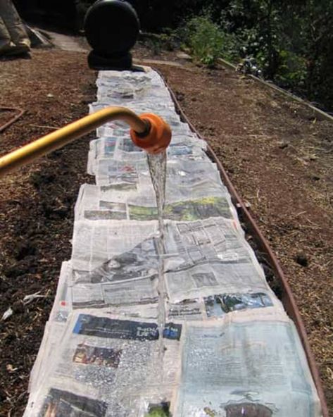 How To: Start a No-Dig Garden … Step by Step | Apartment Therapy Pallet Gardening, Lasagna Gardening, Raised Vegetable Gardens, Dig Gardens, Vegetable Garden Raised Beds, Building A Raised Garden, Garden Steps, Front Yard Landscaping Simple, Tomato Garden