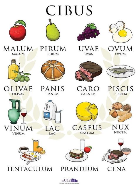 Latin Poster, Latin Language Learning, Latin Grammar, Teaching Latin, Latin Language, Latin Quotes, Latin Phrases, Latin Words, Latin Food