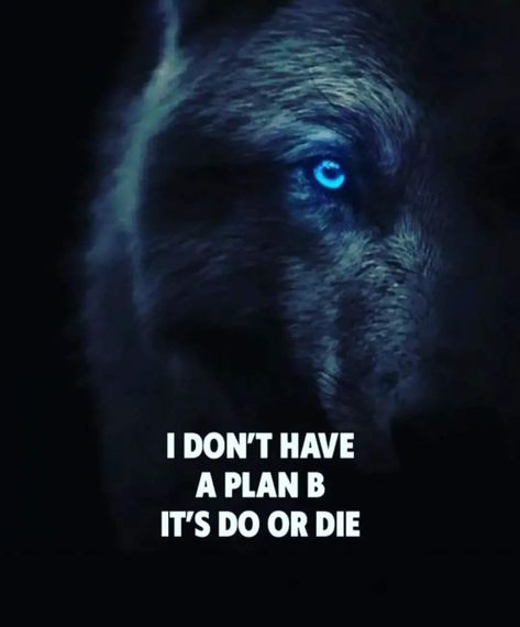 Lioness Quotes, Courage Quotes, Do Or Die, Attitude Status, Motivational Quote, Attitude Quotes, Real Talk, Hd Wallpapers, Dream Big