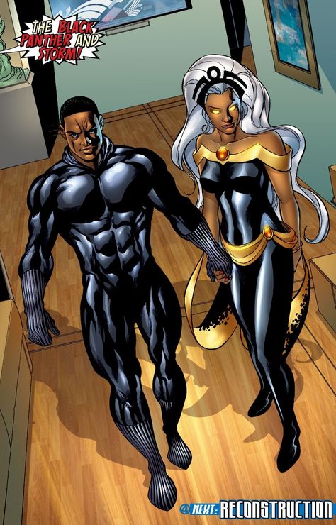 Black Panther & Storm (Fantastic Four#543). Black Panther And Storm, Black Panther Storm, Storm Marvel, Panther Art, Black Panther Art, Black Comics, Ange Demon, Bd Comics, Uncanny X-men