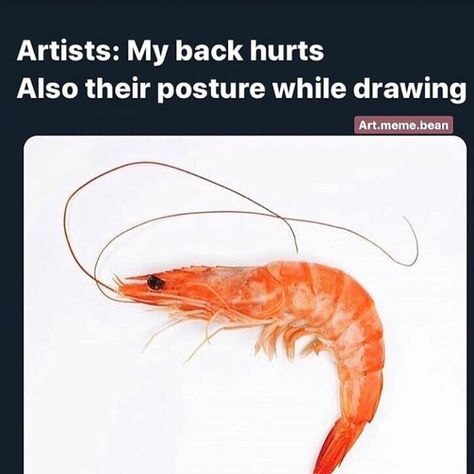 32.4k Likes, 202 Comments - Beauxtron–Art tutorials (@beauxtron0) on Instagram: “Shrimp . . . By @art.meme.bean . . . . . . . Follow @beauxtron0 for more memes and art tutorials!…” Shrimp Posture, Back Hurts, Cool Bugs, Semi Trucks, Funny Facts, Dankest Memes, Art Tutorials, Bugs, Fish