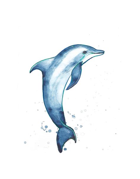 Title: (Indigo Dolphin) (A perfect watercolor painting of ocean art. This print of a cute and playful dolphin is taken from an original work in (watercolor on paper).  This Art Print is available in a High-Quality Digital Print on glossy photo paper. With no Matte, comes with card backing and a protective clear bag. These prints are also available In Giclee, printed on fine art photographic paper with Giclee Ink process - the highest quality. The paper is thick, has a nice slight texture, and th Dolphin Watercolor Painting Easy, Ocean Watercolor Art, Dolphin Watercolor Painting, Dolphin Painting Easy, Dolphin Art Painting, Cute Dolphin Drawing, Dolphin Paintings, Ocean Animals Art, Painting Of Ocean