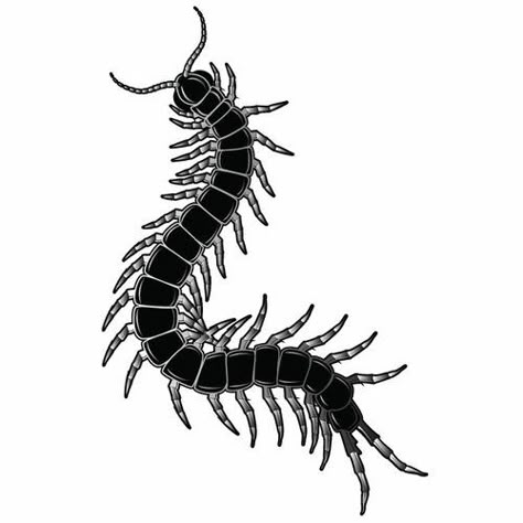 Caterpillar vector graphics | Public domain vectors Caterpillar Tattoo, Caterpillar Insect, 42 Tattoo, Insect Tattoo, Tattoo Style Drawings, Aesthetic Tattoo, Dark Tattoo, Tattoo Flash Art, Black Ink Tattoos