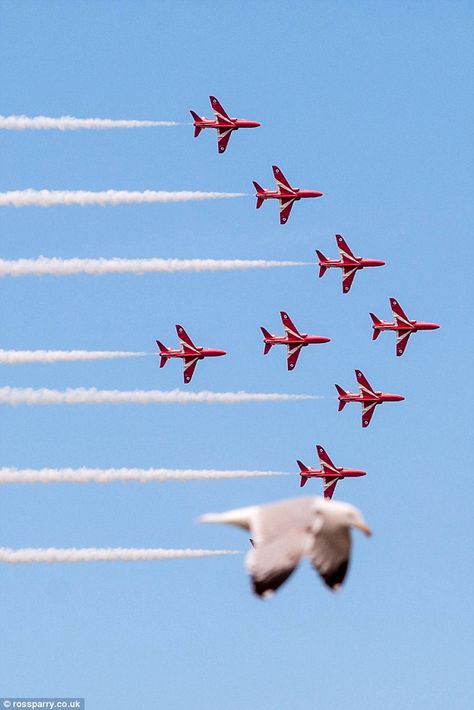 The picture was taken by photography student Jade Coxon at the Llandudno Air Show on Satur... Arrow Image, Raf Red Arrows, Seagulls Flying, Photography Student, Air Flight, Red Arrows, Surfer Girl Style, Battle Of Britain, Red Arrow