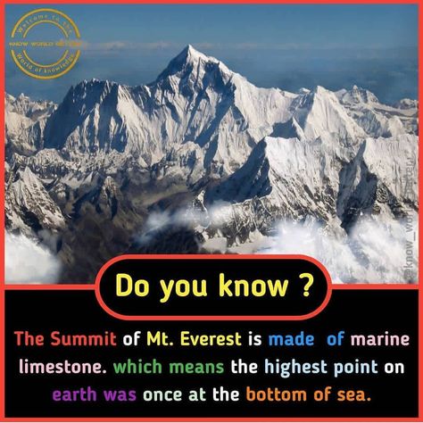 Man Made Structures, Facts About India, Wierd Facts, Physiological Facts, About India, Fun Facts About Life, Fun Facts About Animals, Interesting Science Facts, Mt Everest