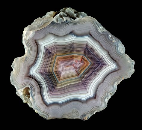 Coyamito Agate, Laguna Agate, Pretty Rocks, Beautiful Rocks, Agate Geode, Mineral Stone, Minerals And Gemstones, Rocks And Gems, Agate Crystal