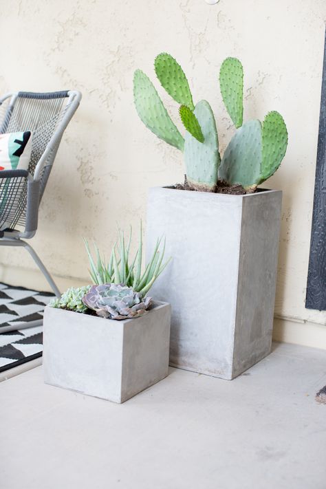 Front porch make over succulents and cactus Front Porch Cactus, Cactus In Planter Outdoor, Desert Front Porch Ideas, Cacti Front Yard, Cacti Front Porch, Cactus Planter Box Outdoor, White House Cactus Landscape, Cactus Arrangement, Front Porch Planters