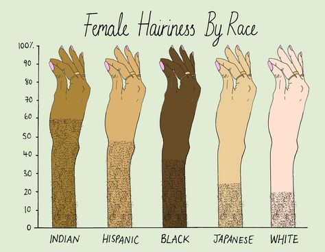 Female Facial Hair, The Patriarchy, Three Boys, Data Analyst, Female Body, Body Hair, Data Visualization, Facial Hair, Womens Rights