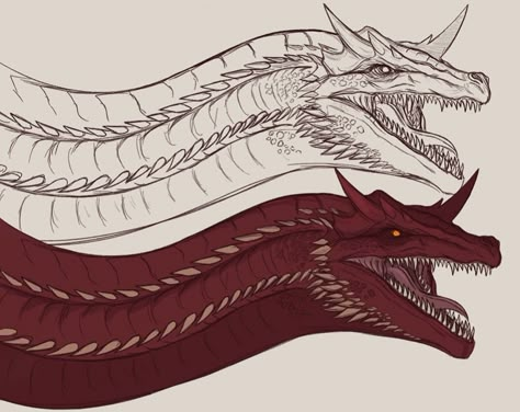 Caraxes Dragon, Monster Hunter Art, Game Of Thrones Dragons, Dragons Den, Got Dragons, Dragon Sketch, Creature Artwork, Dragon Illustration, Game Of Thrones Art