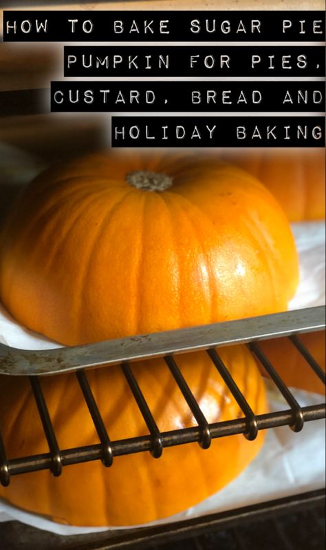 Baking Pie Pumpkins, Roasting Pumpkins For Puree, Baking A Pumpkin, Squash Meals, Roasted Pumpkin Recipes, Custard Bread, Pie Pumpkins, Soup Bread, Pumpkin Spices