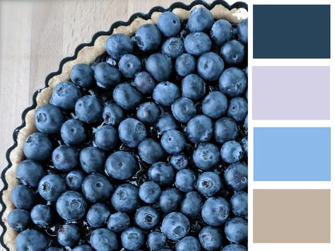 #blueberry #color #palette Pie Color Palette, Website Color Schemes, Beautiful Color Palettes, Colors Schemes, Color Palette Inspiration, Color Me Happy, Color Pallete, Colour Theory, Blueberry Pie