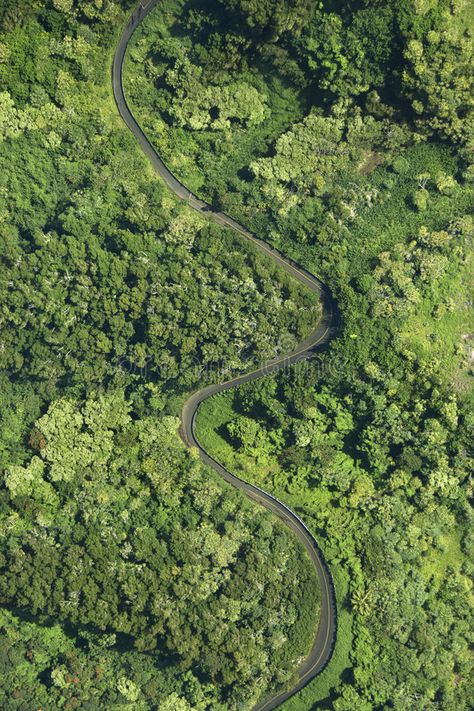 Digital Vision Board, Earth Photos, Retail Park, Winding Road, Forest Landscape, Stock Photography Free, Site Plan, Aerial Photography, Lush Green