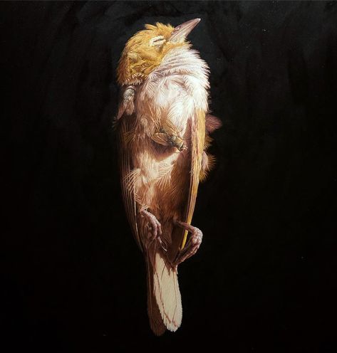 Jeremy Geddes posted on Instagram: “Currently on the easel.” • See all of @jeremyispainting's photos and videos on their profile. Jeremy Geddes, Pop Surrealism, Fantasy Artist, Best Art, Architecture Art, Art Art, Lovers Art, Fantasy Art, Cool Art