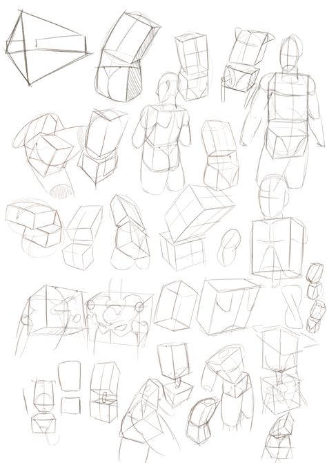 Robo Bean Anatomy, Bean Method Drawing, Bean Anatomy, Shape Practice, Drawing Body Proportions, Body Flexibility, Human Anatomy Reference, Anatomy Practice, Male Anatomy