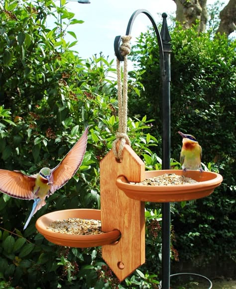 Bird Feeders For Kids To Make, Bird Feeder Stands, Bird Feeder Station, Unique Bird Feeders, Backyard Birds Sanctuary, Backyard Birds Feeders, Wood Bird Feeder, Bird Feeder Craft, Feeding Birds