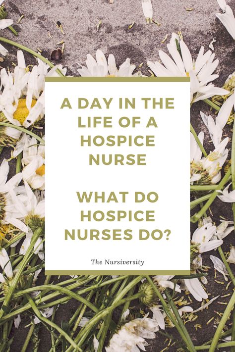 Have you ever wondered what it's like to be a hospice nurse? Or what it is that hospice nurses actuallly do? Check out this "day in the life" of a hospice nurse to get an inside look of what it's like to be a hospice nurse. Hospice Nurse Aesthetic, Christmas Gifts For Hospice Nurses, Hospice Nurse Quotes, Hospice Nursing, Home Health Nurse Case Manager, Hospice Social Work, Nurse Manager, Hospice Nurse, Blessing Bags