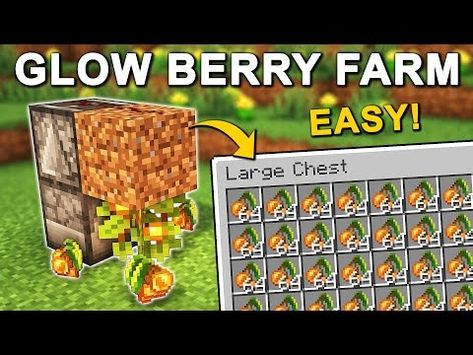 EASY Automatic Glow Berry Farm in Minecraft 1.20 (Tutorial) - YouTube Glow Berry Minecraft, Minecraft Glow Berries Farm, Automatic Minecraft Farms, Automatic Farms Minecraft, Minecraft Automatic Farm, Minecraft Museum, Minecraft Farms, Farm In Minecraft, Server Ideas