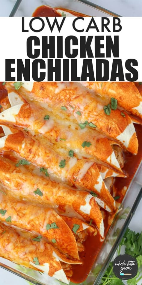 Low Carb Chicken Enchiladas, Keto Chicken Enchiladas, Low Carb Enchiladas, Healthy Low Carb Dinners, Low Carb Low Fat Recipes, Low Carb Low Sugar, Low Carb Tortillas, Low Carb Diet Recipes, Enchilada Recipes