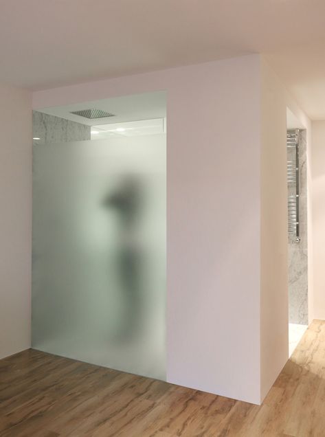 Closet And Bathroom Combo, Glass Wall Bathroom, Bathroom Glass Wall, Open Plan Bathrooms, Glass Shower Wall, Shower Renovation, Walk In Showers, Frameless Sliding Shower Doors, Bathroom Floor Plans