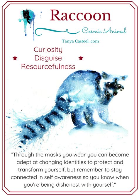 Raccoon symbolism, meaning, dreams, and watercolor painting by Tanya Casteel  #raccoon #spiritanimal #poweranimal #symbolism #meaning #watercolor #painting #tanyacasteel Skunk Spirit Animal Meaning, Raccoon Spirit Animal, Raccoon Meaning, Raccoon Symbolism, Animal Symbolism And Meanings, Animals Symbolism, Animal Totem Spirit Guides, Whats Your Spirit Animal, Animal Symbols