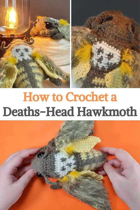 In this video, you'll learn how to make a fuzzy little moth, specifically the spooky deaths-head hawk moth. These animals can be quite scary, but this is the only moth you'll want to find in your yarn collection. For today's project, you will need eight-ply 100% acrylic yarn which is also known as DK in three main colors with a 3.5 mm crochet hook. You're going to use a grayish-brown for the body, cream or white color for the skull marking on the back, and some pale yellow for the rest... Crochet Simple Stuffed Animals, Crochet Idea Free Pattern, Insect Crochet Pattern, Scary Crochet Patterns Free, Crochet Skull Free Pattern, Moth Crochet Pattern Free, Crochet Moth Pattern Free, Crochet One Color, Weird Crochet Patterns Free