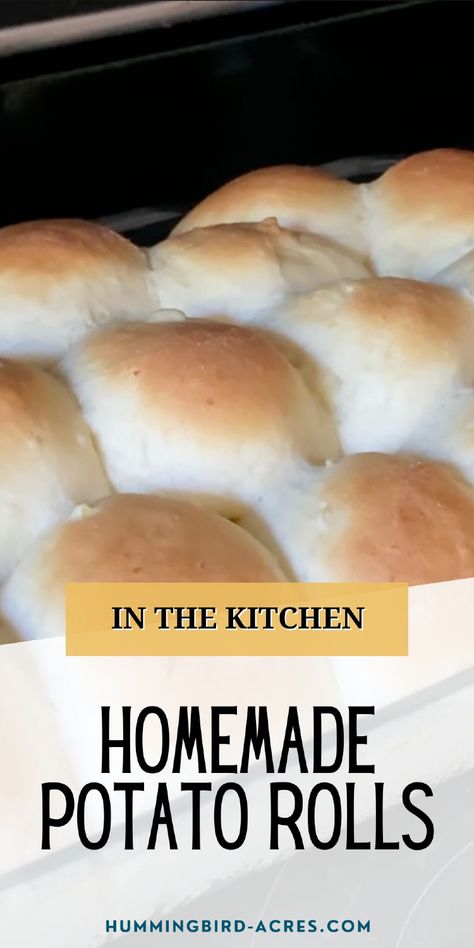 Make these irresistible homemade potato rolls that are light, fluffy, and perfect for any meal. Ideal for beginners and experienced bakers alike! Potato Roll Recipe, Potato Dinner Rolls, Potato Rolls Recipe, Potato Rolls, Scratch Cooking, Instant Mashed Potatoes, Potato Dinner, Moms Cooking, Potato Roll