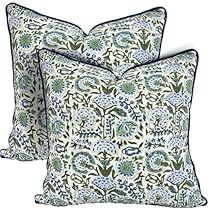 Decorative Couch Pillows, Pillows For Living Room, Green Pillows Decorative, Living Room Bed, Block Printed Pillows, Blue Pillow Covers, Decorative Pillows Couch, Bed In Living Room, Canvas Pillow