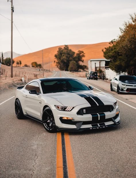 Baddie Car Interior, Car Interior White, Shelby Gt 350, Mustang Car Aesthetic, Car Tesla, Cars Tokyo, Cars Expensive, Car Interior Aesthetic, Wallpapers Cars